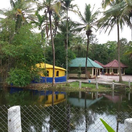 Coorg Anekad Jungle Stay Kushālnagar Esterno foto