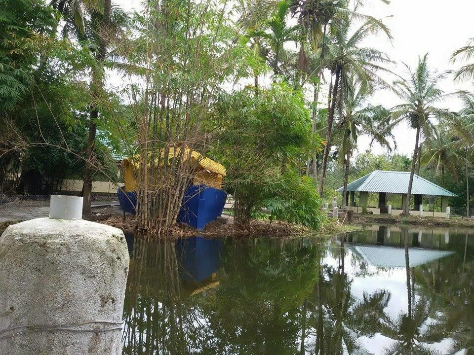 Coorg Anekad Jungle Stay Kushālnagar Esterno foto
